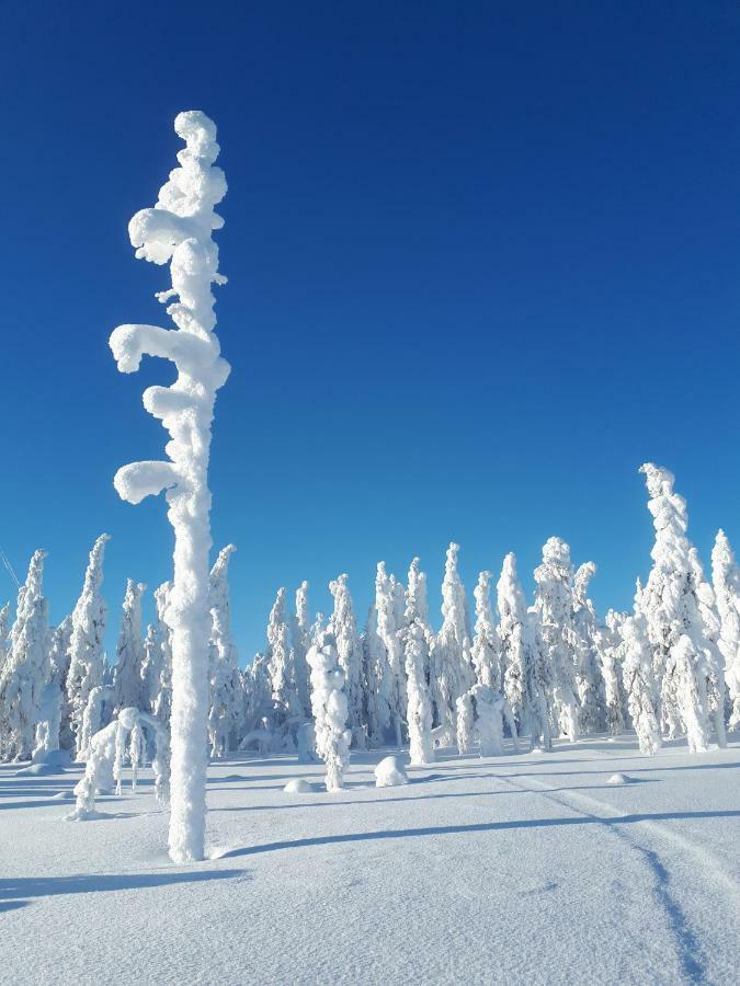 Valkea Arctic Lodge เปลโล ภายนอก รูปภาพ